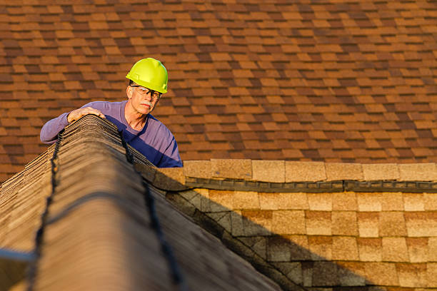 Best Local Roofing Companies  in Aquia Harbour, VA